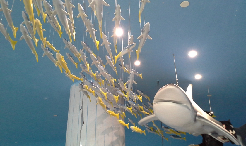 鯊魚雕塑